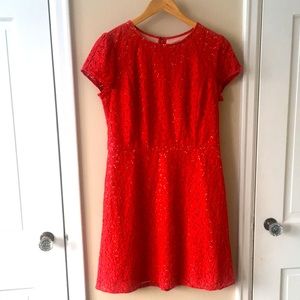 Coral Lace Dress Loft perfect for afternoon wedding guest!